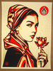 Shepard Fairey - Natural Springs