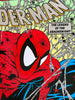 Todd McFarlane - Spider-Man #1 Cover (Platinum Edition)