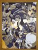 Tomer Hanuka - Star Wars Variant